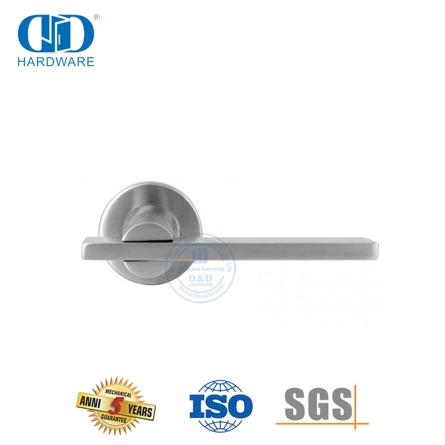 Einfaches, elegantes Design für Haupttürbeschläge, flacher Rohrhebelgriff-DDTH041-SSS