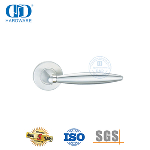 Edelstahl-Hardware für gewerbliche Gebäude, einzigartiger Stil, massiver Hebelgriff-DDSH033-SSS