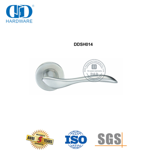 Massiver Edelstahl-Türgriff mit Hebel-Präzisionsguss-DDSH014-SSS