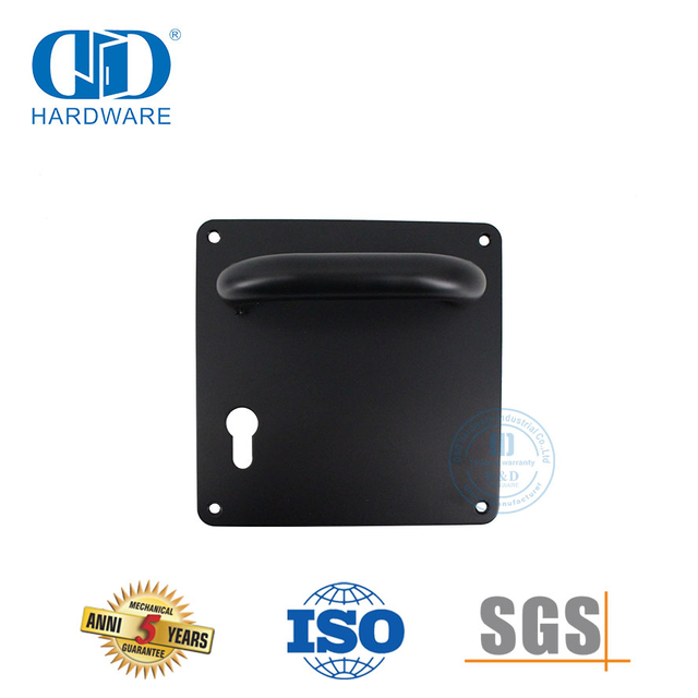 Türdrückergriff aus Edelstahl mit silberner Oberfläche und Platte für Metalltüren-DDTP001-MB