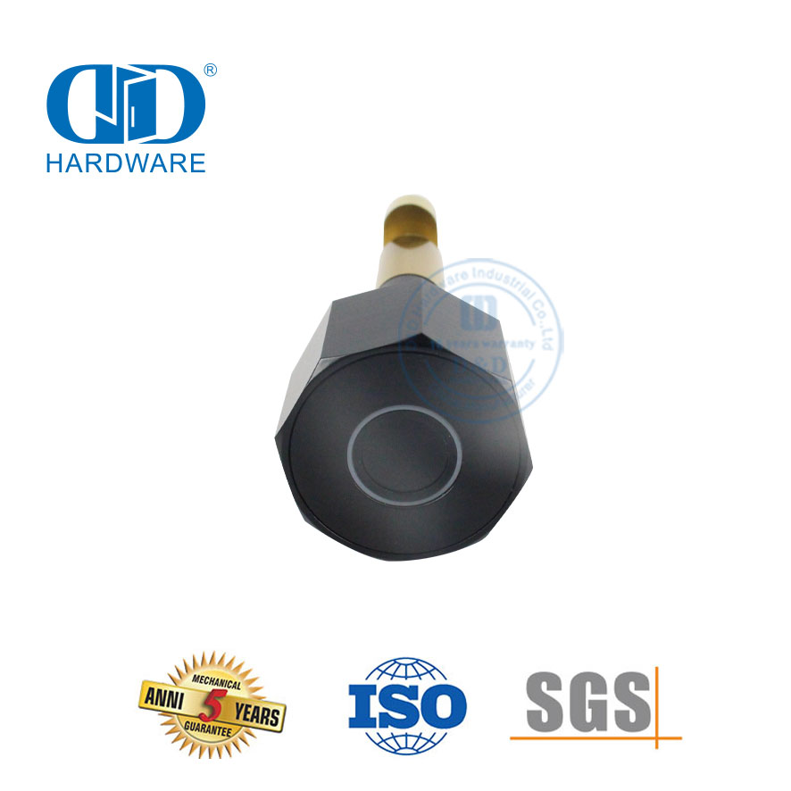 Edelstahl-Messing-Digital-Bluetooth-Funktion, Fingerabdruck-Sicherheit, USB-Aufladung, Innen- und Außentür-Vorhängeschloss-DDPL101-70 mm
