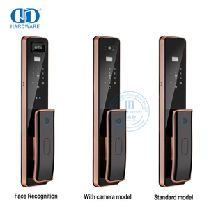 Luxus Wifi Remote Capture mit Kamera Schlüssel Fingerabdruck Smart Türschloss-DDEL011