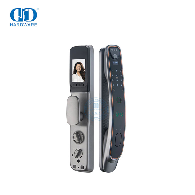 Europäischer Stil Automatische Wohnung Keyless Digital House Hotel WiFi wasserdichte Smart Door Lock-DDEL019