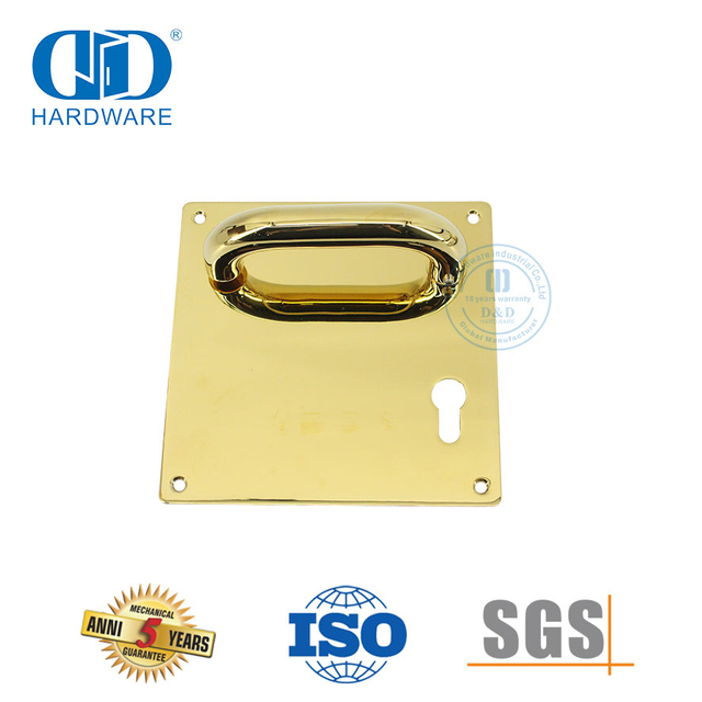 Dekorative Hardware von Mitte zu Mitte, 72 mm Edelstahl-Türdrückergriff mit Platte-DDTP001-PVD