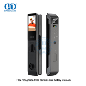 Intelligente Kombination, elektronische 1080 HD-WLAN-Kameras, ferngesteuertes Fingerabdruck-Smart-Schloss mit Kamera – DDEL004