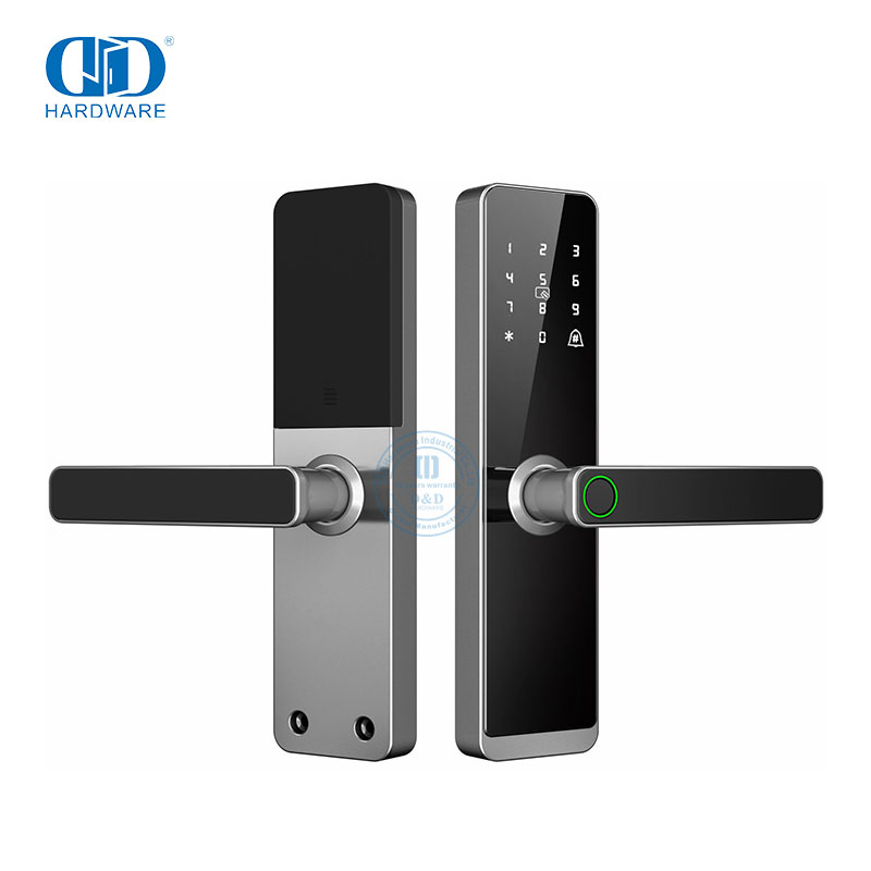 Holztüren, intelligente Griffe, Schlösser mit App, WLAN, Fingerabdruck, Cerradura Inteligente, Arbeit mit TUYA WLAN – DDDL007