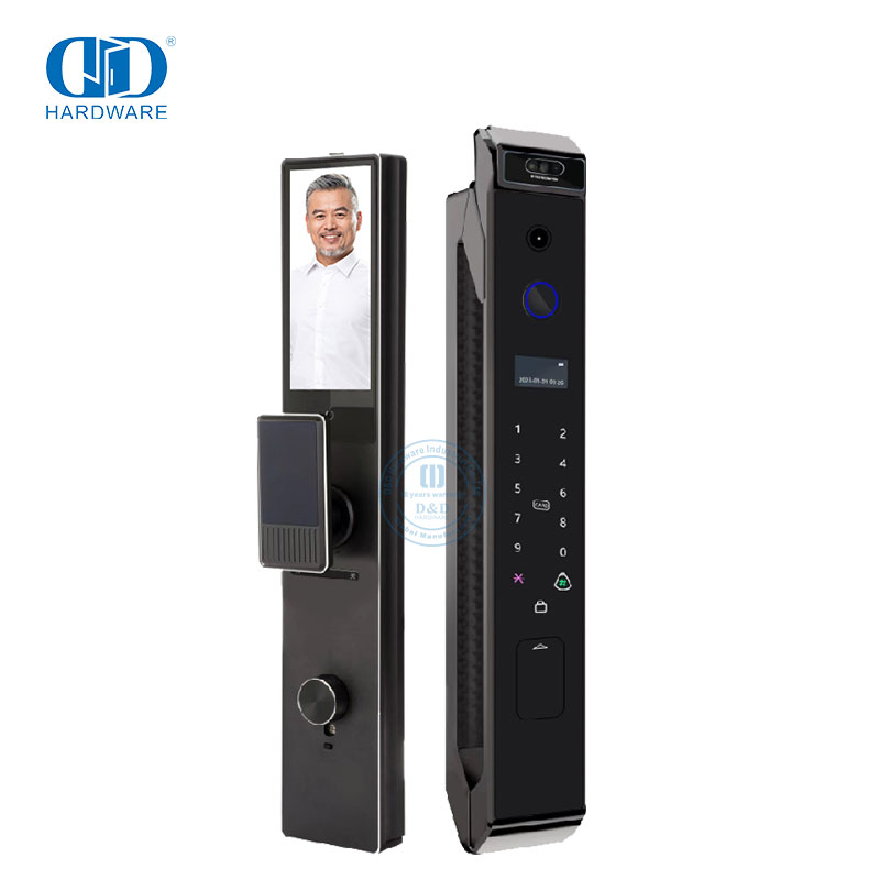Gesicht entsperrt Erkennung Fernbedienung digitale Passcode Validierung Türklingel Metalltür Smart Lock -DDEL028