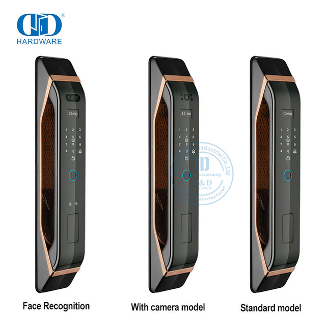 Zeitgenössische Fernbedienung, doppelseitige Fingerabdruck-Gesichtserkennung, Video-Gegensprechanlage, Smart Lock-DDEL012